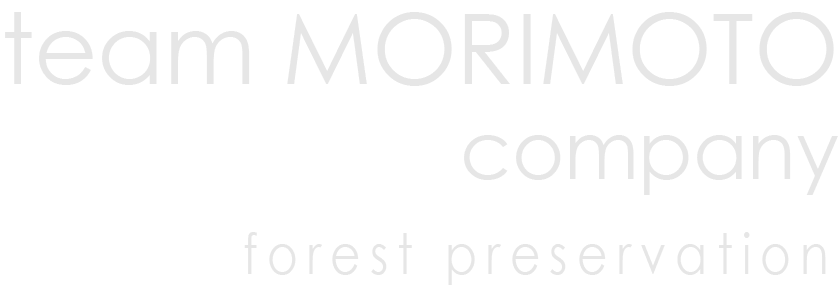 team MORIMOTO company forest preservation